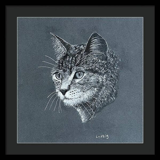 Miss Kitty - Framed Print