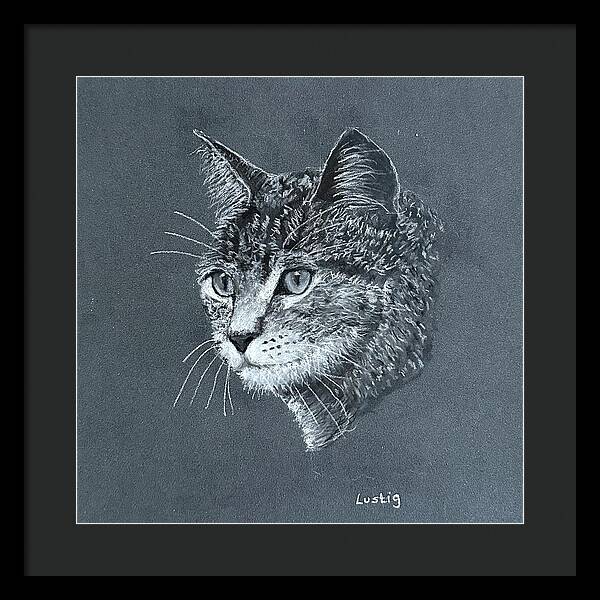 Miss Kitty - Framed Print