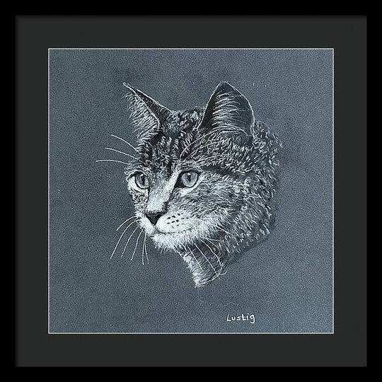 Miss Kitty - Framed Print