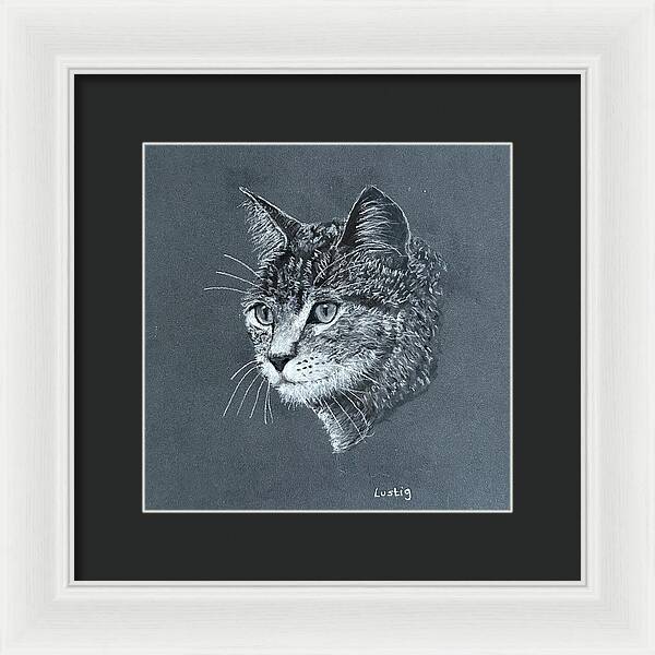 Miss Kitty - Framed Print