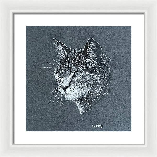 Miss Kitty - Framed Print