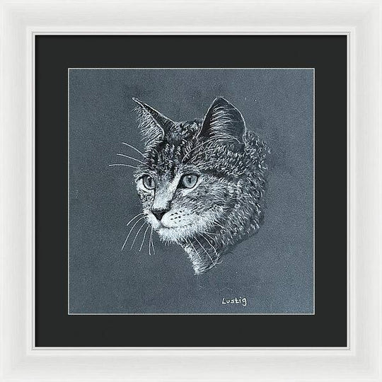 Miss Kitty - Framed Print