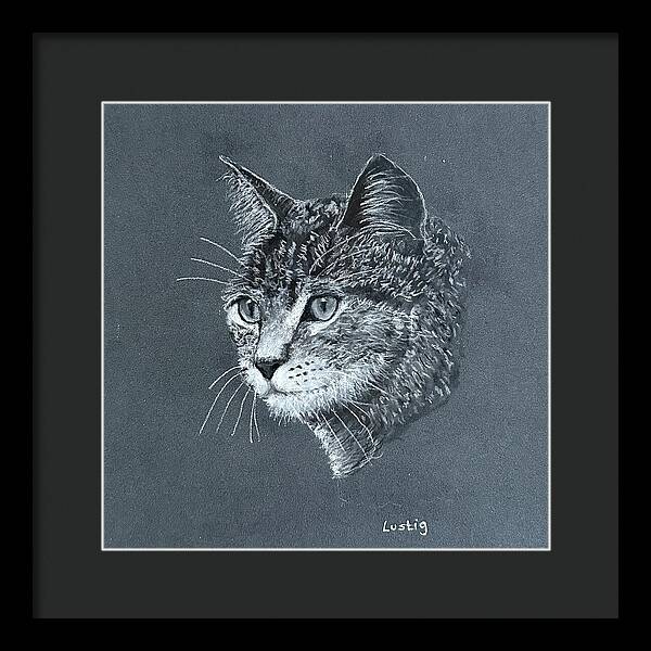Miss Kitty - Framed Print