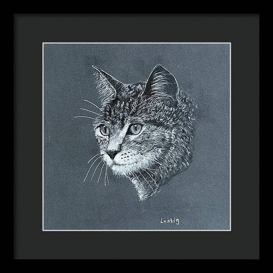 Miss Kitty - Framed Print