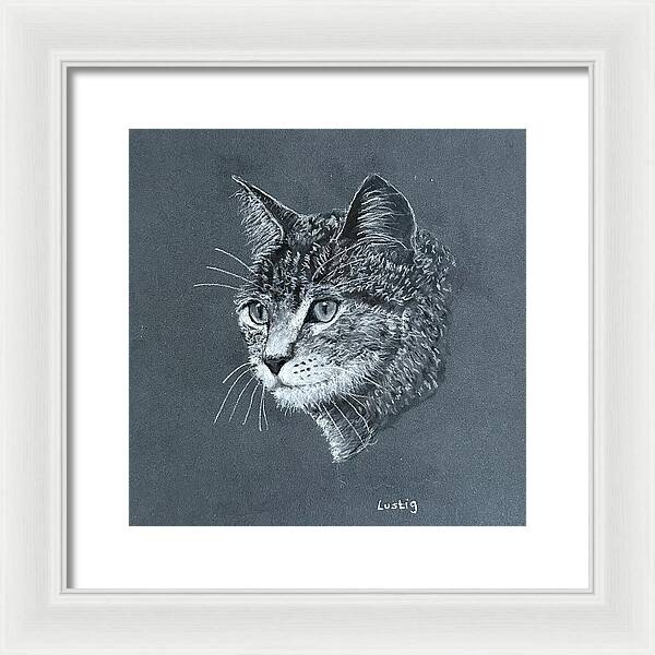 Miss Kitty - Framed Print