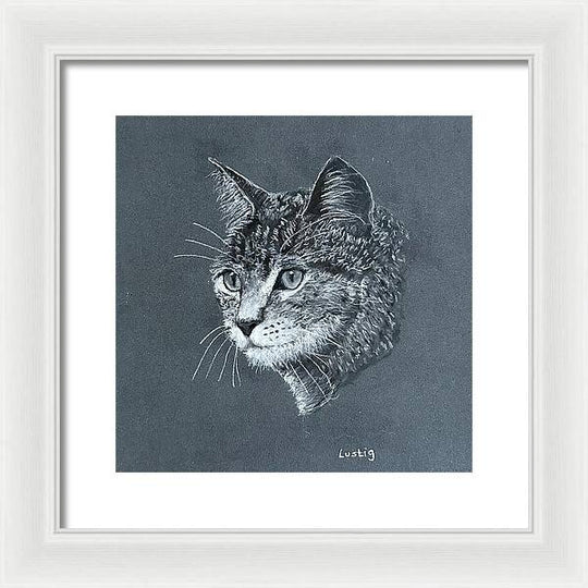 Miss Kitty - Framed Print