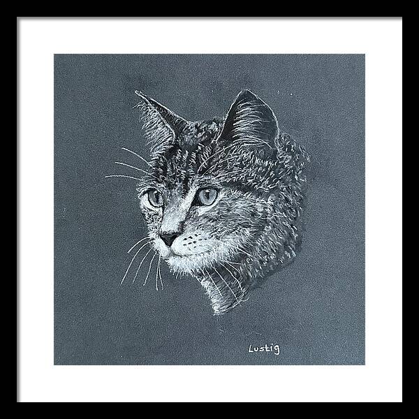 Miss Kitty - Framed Print