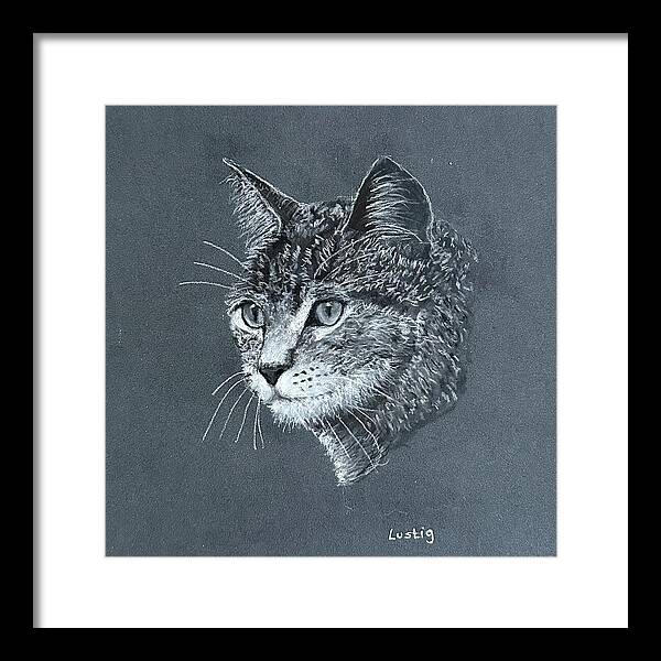 Miss Kitty - Framed Print