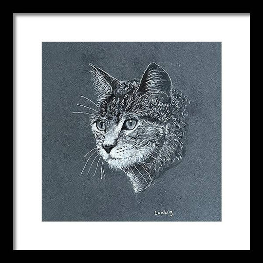 Miss Kitty - Framed Print
