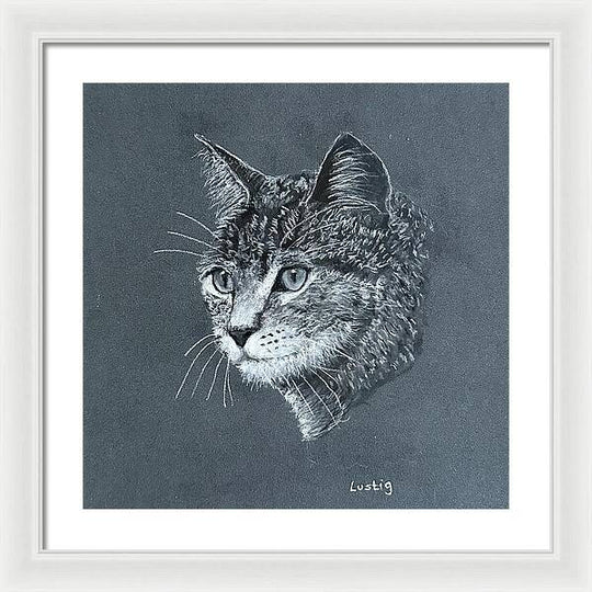 Miss Kitty - Framed Print