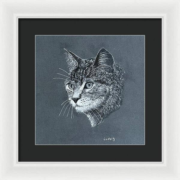 Miss Kitty - Framed Print
