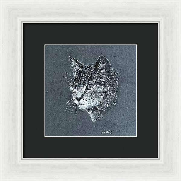 Miss Kitty - Framed Print
