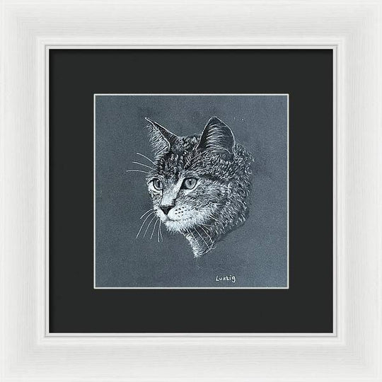 Miss Kitty - Framed Print