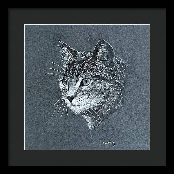 Miss Kitty - Framed Print