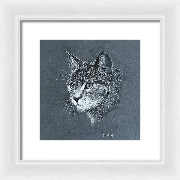 Miss Kitty - Framed Print