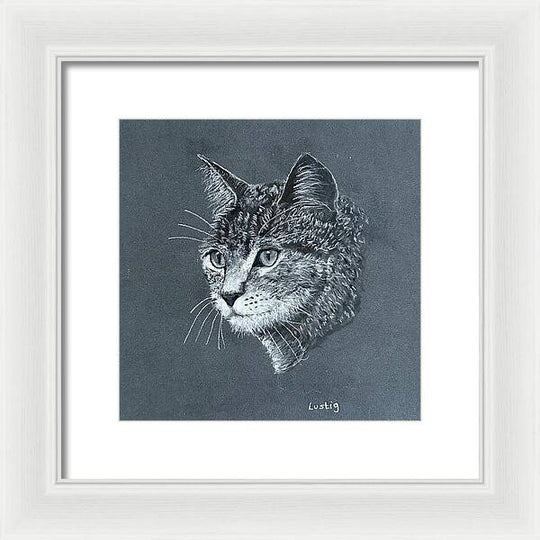 Miss Kitty - Framed Print