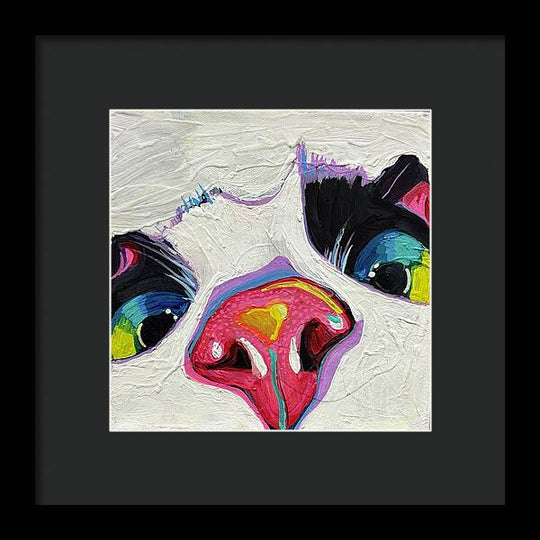 Paparazzi - Framed Print
