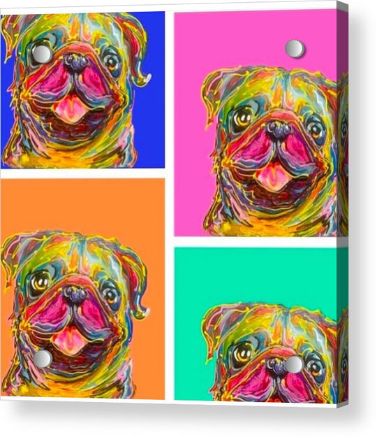 Pup Pop - Acrylic Print