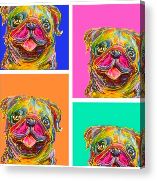 Pup Pop - Acrylic Print