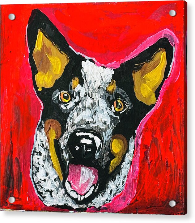Rowdy - Acrylic Print