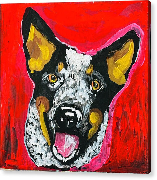 Rowdy - Acrylic Print