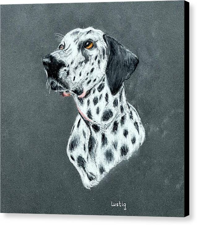 Spotty - Canvas Print