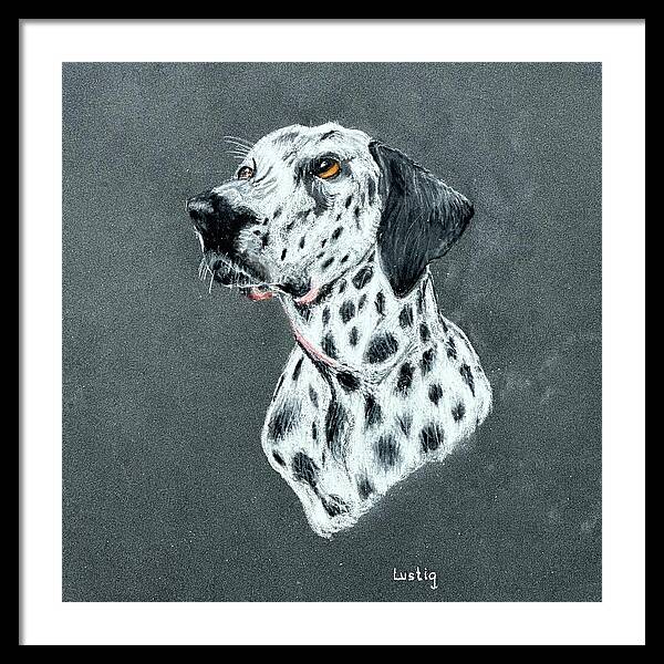 Spotty - Framed Print
