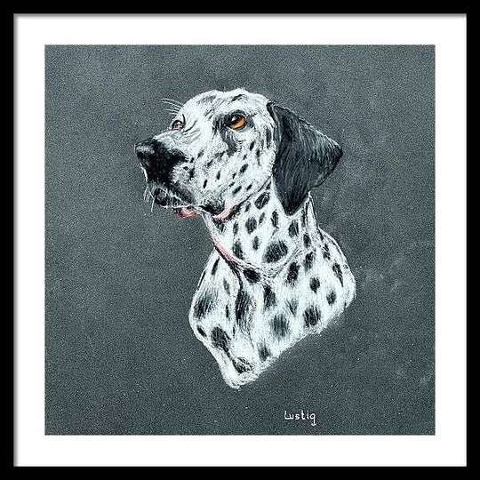 Spotty - Framed Print