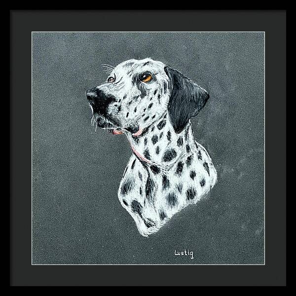 Spotty - Framed Print