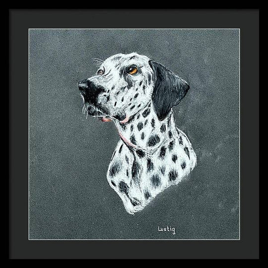 Spotty - Framed Print