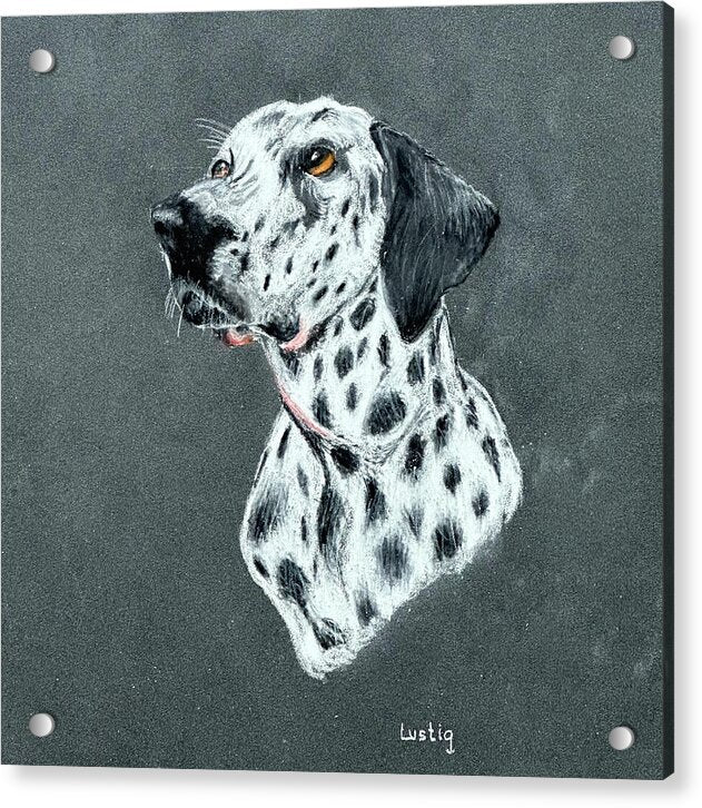 Spotty - Acrylic Print
