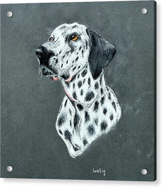 Spotty - Acrylic Print