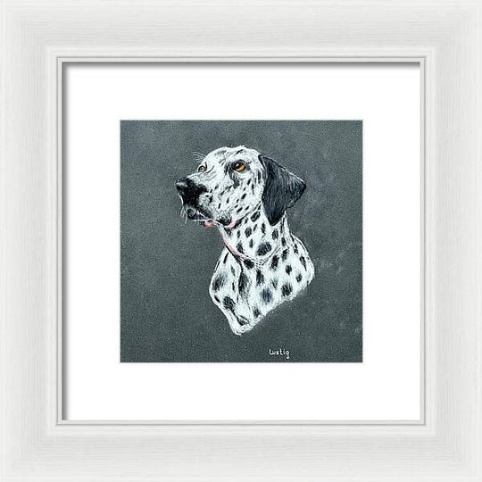 Spotty - Framed Print