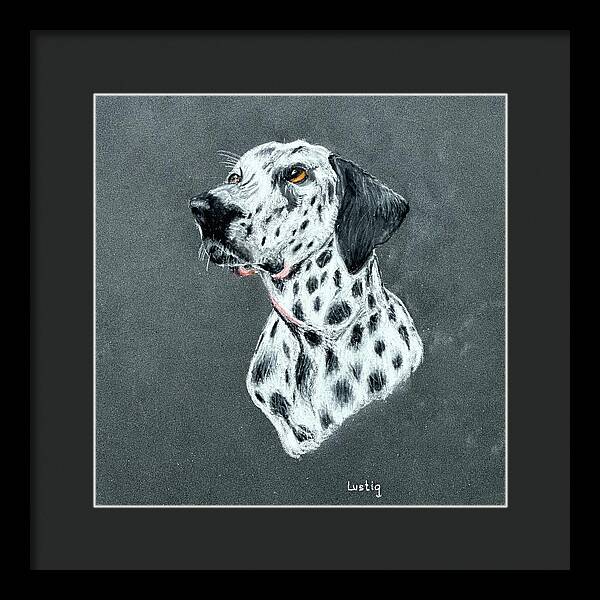 Spotty - Framed Print