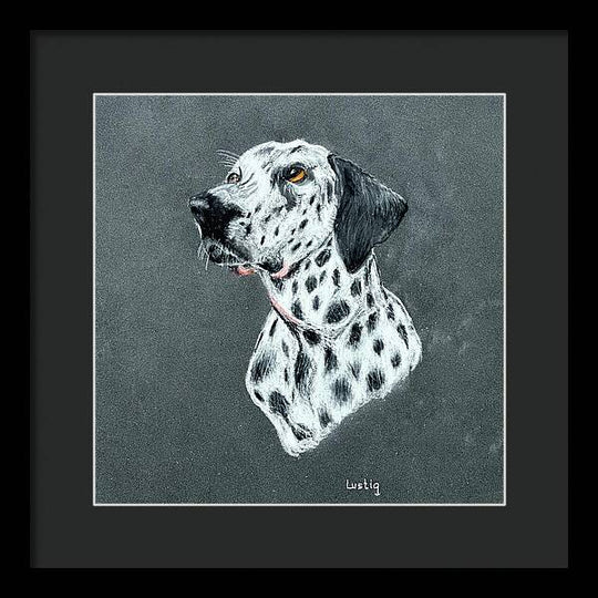 Spotty - Framed Print