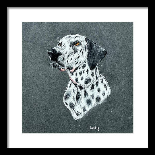Spotty - Framed Print