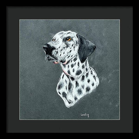 Spotty - Framed Print
