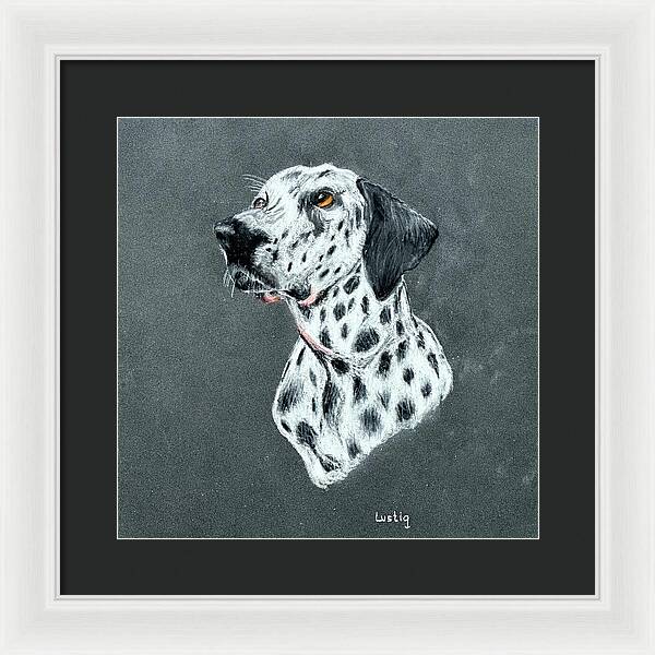 Spotty - Framed Print