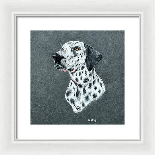 Spotty - Framed Print