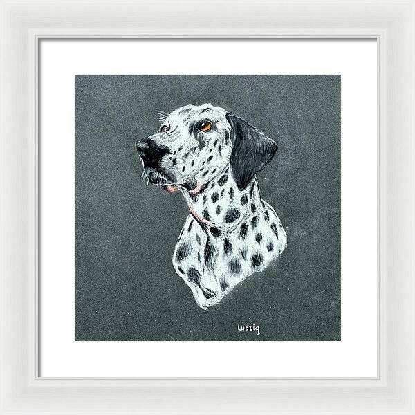 Spotty - Framed Print