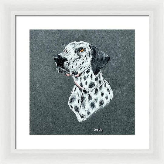 Spotty - Framed Print
