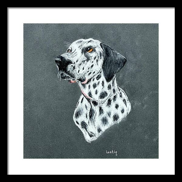 Spotty - Framed Print