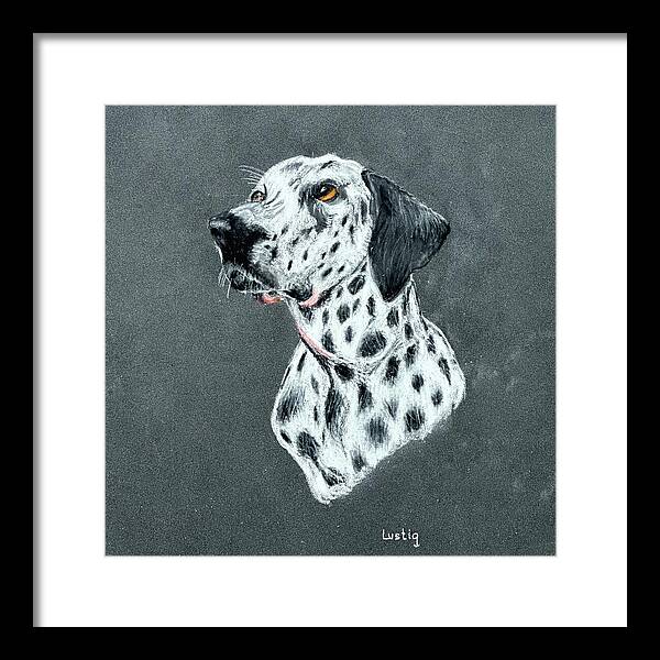 Spotty - Framed Print