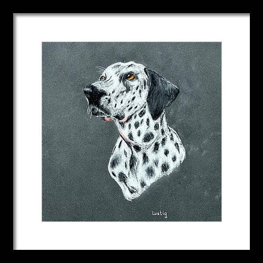 Spotty - Framed Print