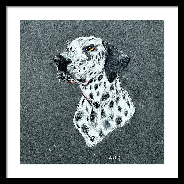 Spotty - Framed Print