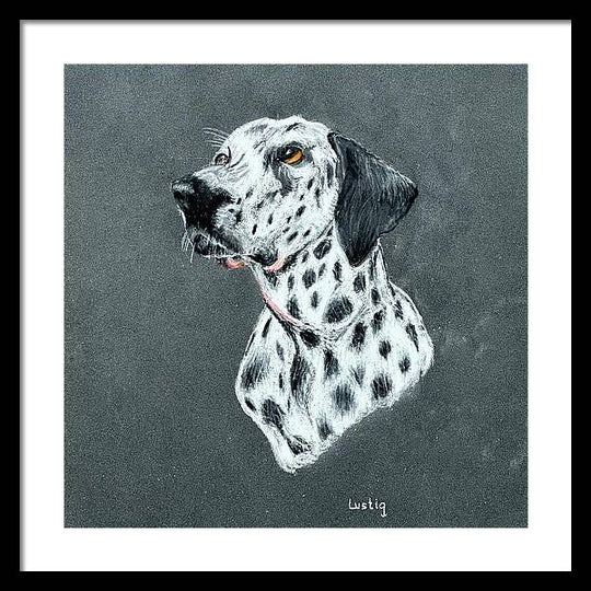 Spotty - Framed Print