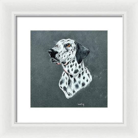 Spotty - Framed Print