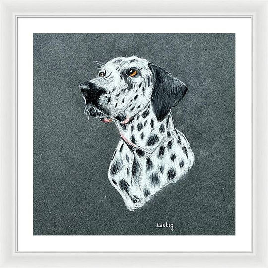 Spotty - Framed Print