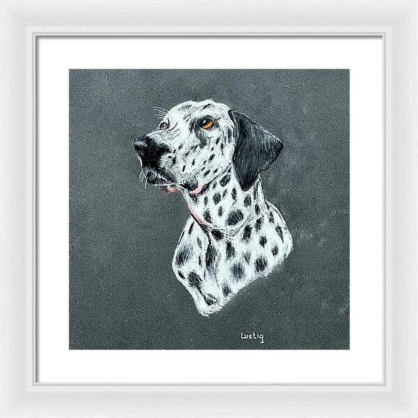 Spotty - Framed Print
