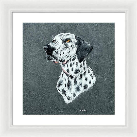 Spotty - Framed Print